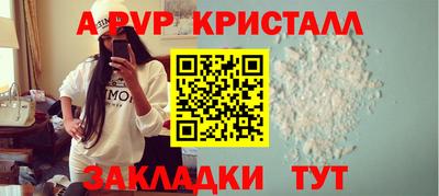 мет Кингисепп