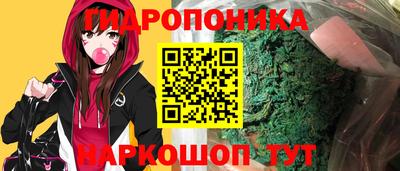 мет Кингисепп