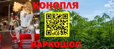 мет Кингисепп