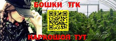 мет Кингисепп