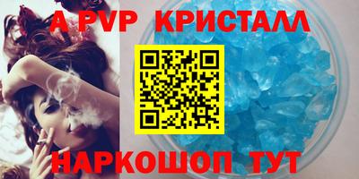 мет Кингисепп