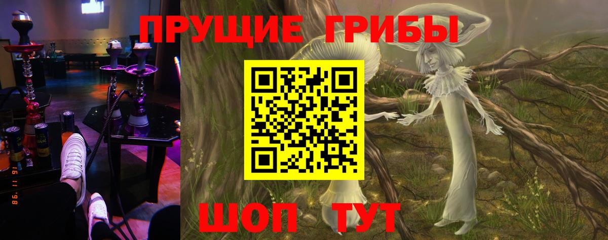 Галлюциногенные грибы ЛСД Вышний Волочёк