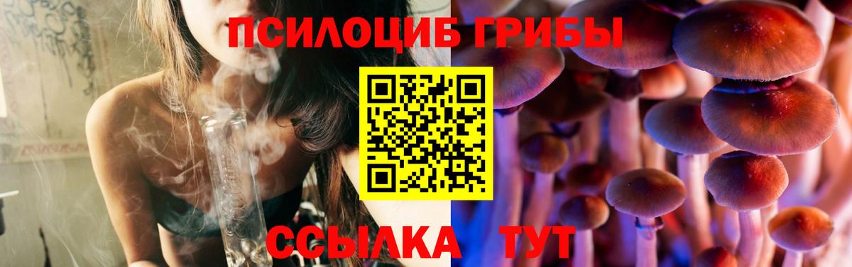 Псилоцибиновые грибы Psilocybe  Галлюциногенные грибы MAGIC MUSHROOMS  Вход с VPN  Вышний Волочёк 